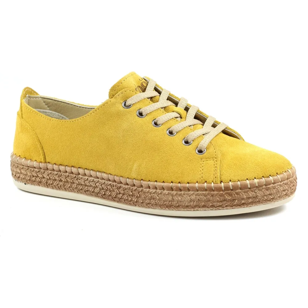 Lazy Dogz Maddison Lace Up Suede Casual Shoe